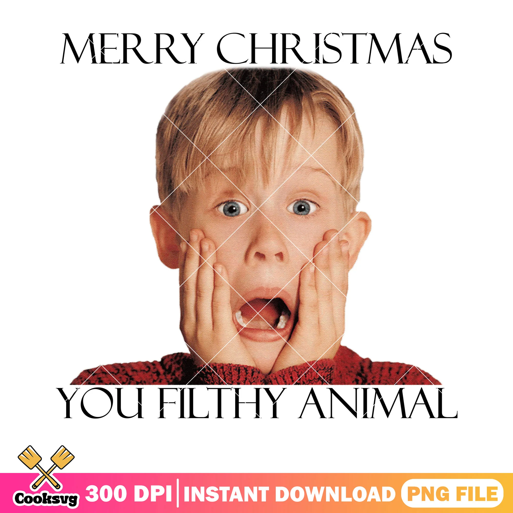 Christmas you filthy animal png, home alone png, Kevin McCallister png